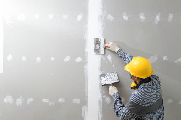 Best Drywall Texturing  in Covington, LA